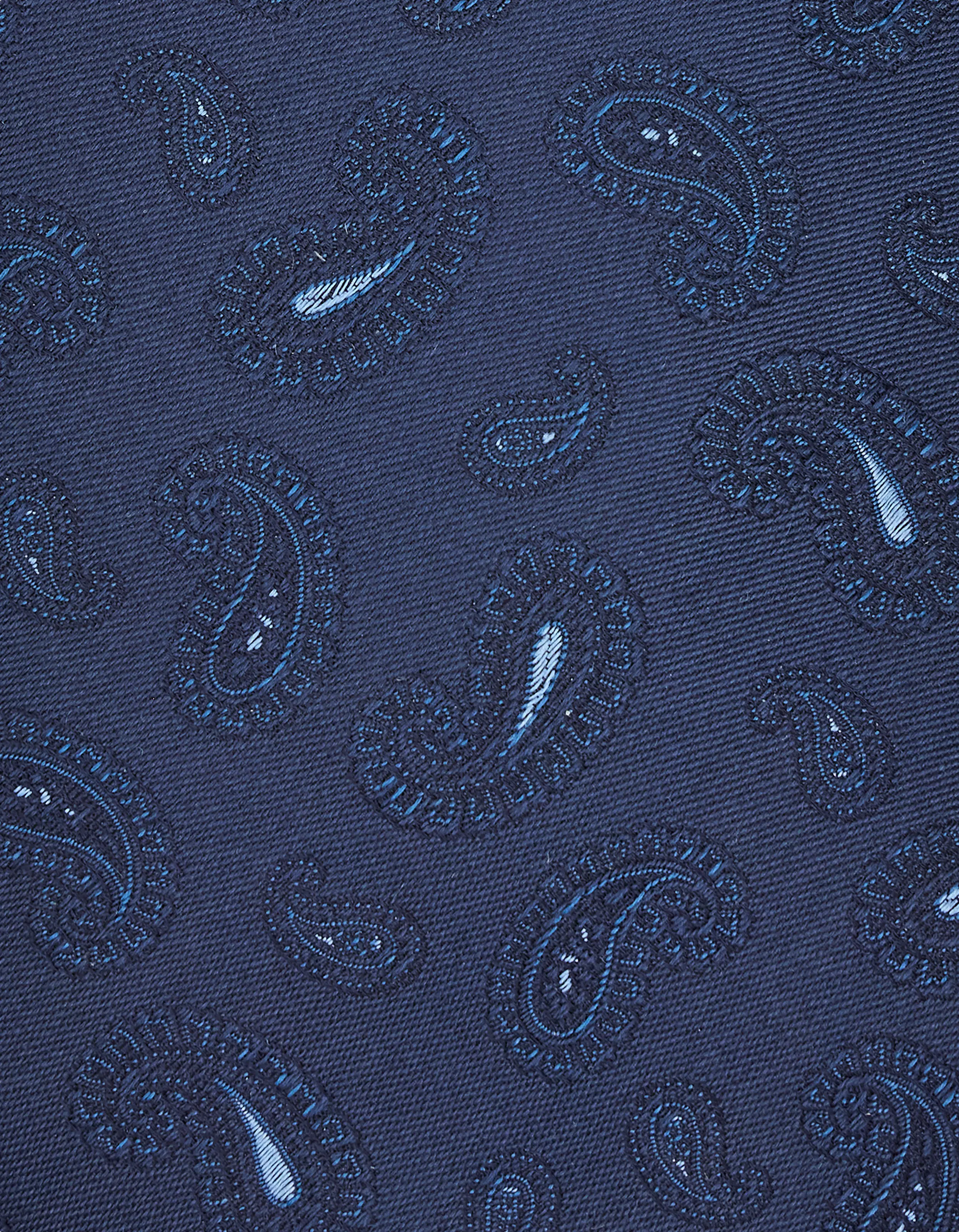 3210-blue-silk-tie-paisley-motif–1.jpg